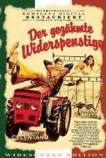 Watch The Taming of the Scoundrel 0123movies