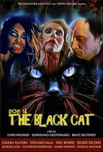 Watch POE 4: The Black Cat 0123movies