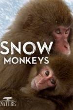 Watch Nature: Snow Monkeys 0123movies