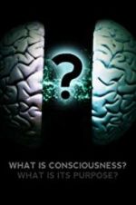 Watch What Is Consciousness? What Is Its Purpose? 0123movies