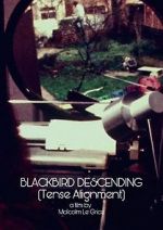 Watch Blackbird Descending 0123movies