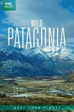 Watch Wild Patagonia 0123movies