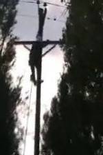 Watch After the Wind 0123movies