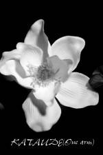 Watch Kataude 0123movies