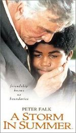 Watch A Storm in Summer 0123movies