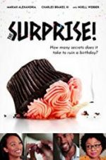 Watch The Surprise! 0123movies
