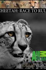 Watch Cheetah: Race to Rule 0123movies
