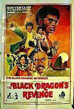 Watch The Black Dragon's Revenge 0123movies