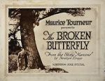 Watch The Broken Butterfly 0123movies