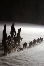 Watch Icebound: The Greatest Dog Story Ever Told 0123movies