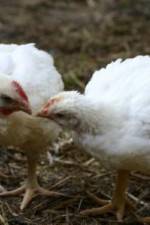 Watch Meet Your Meat 0123movies