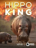Watch Hippo King 0123movies