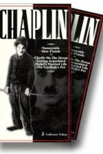 Watch Shanghaied 0123movies