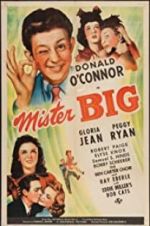 Watch Mister Big 0123movies