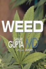 Watch CNN Weed Sanjay Gupta Report 0123movies
