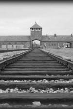 Watch AUSCHWITZ: ORDERS AND INITIATIVES 0123movies