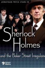 Watch Sherlock Holmes and the Baker Street Irregulars 0123movies