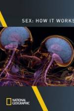 Watch Sex How It Works 0123movies