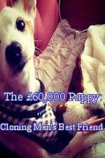 Watch The 60,000 Puppy: Cloning Man's Best Friend 0123movies