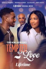 Watch Terry McMillan Presents: Tempted 2 Love 0123movies