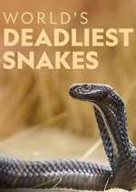 Watch World's Deadliest Snakes 0123movies