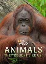 Watch Animals, They\'re Just Like Us! 0123movies