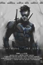 Watch Nightwing: The Series 0123movies