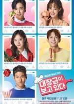 Watch Dae Jang Geum Is Watching 0123movies