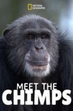 Watch Meet the Chimps 0123movies