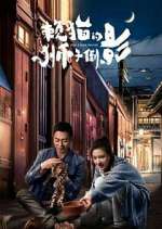 Watch The Lion's Secret 0123movies