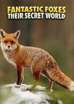 Watch Fantastic Foxes: Their Secret World 0123movies