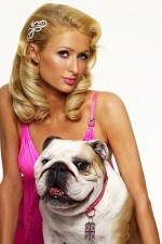 Watch Paris Hilton's British Best Friend 0123movies