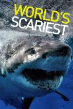 Watch World's Scariest... 0123movies