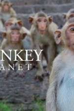 Watch Monkey Planet 0123movies