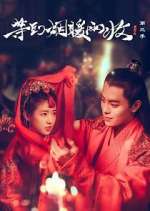 Watch Buried City to Shut All Lights 0123movies