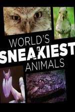 Watch World's Sneakiest Animals 0123movies
