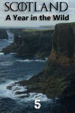 Watch Scotland: A Wild Year 0123movies