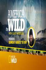Watch America the Wild 0123movies