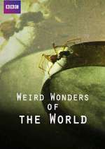 Watch Weird Wonders of the World 0123movies