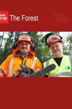 Watch The Forest 0123movies