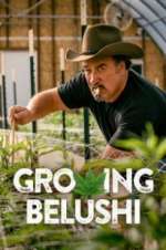 Watch Growing Belushi 0123movies
