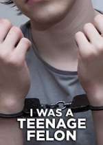 Watch I Was a Teenage Felon 0123movies