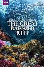 Watch Great Barrier Reef with David Attenborough 0123movies