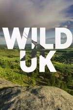 Watch Wild UK 0123movies