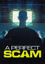 Watch A Perfect Scam 0123movies