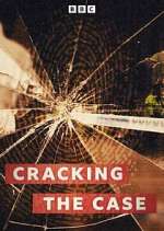 Watch Cracking the Case 0123movies