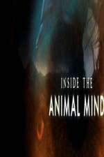 Watch Inside the Animal Mind 0123movies