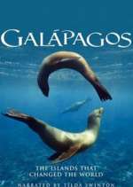 Watch Galapagos 0123movies