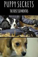 Watch Puppy Secrets: The First Six Months 0123movies