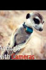 Watch Animals with Cameras 0123movies